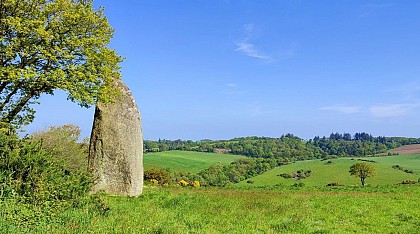 Menhirs de Kergornec