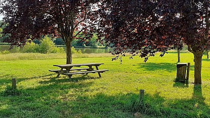 Aire de pique-nique des Lacs de Pouy à Eauze