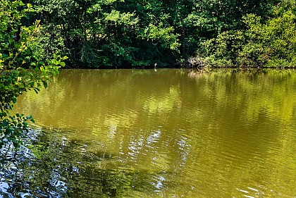 Etang du Pesqué a Perchède