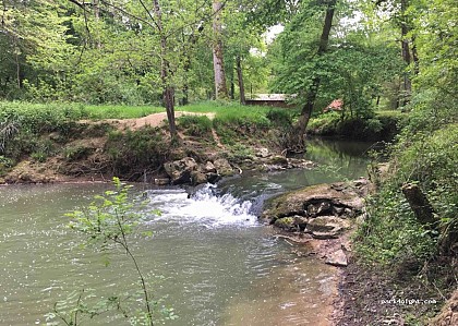 Aire de pique-nique de la forêt de Monlezun d'Armagnac