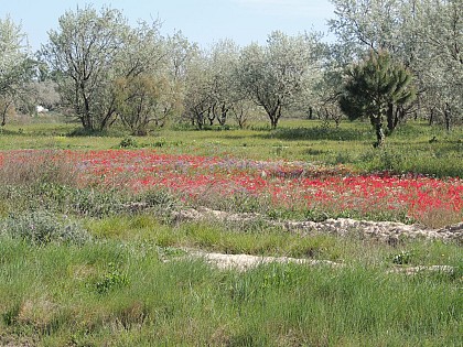 Espace Nature et Liberté