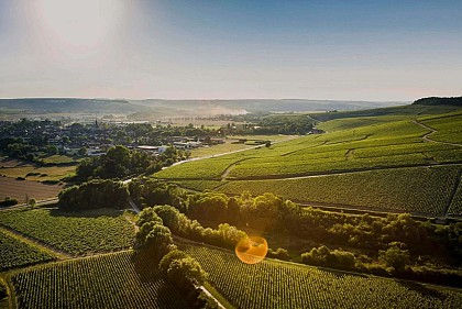 CITE DES CLIMATS ET VINS DE BOURGOGNE -  BEAUNE