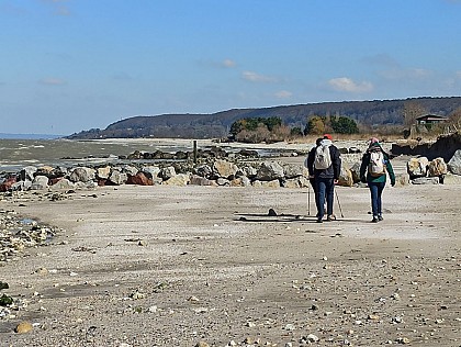 Plage de Cricqueboeuf