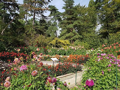 Parc Floral de Paris