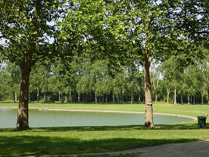 The Pond of the Swiss