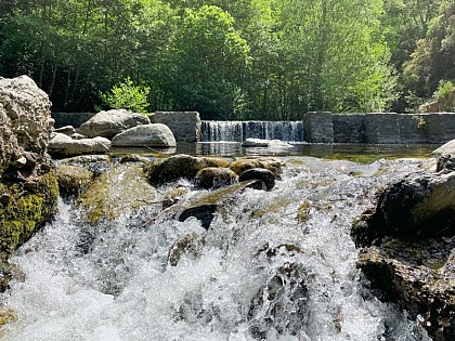 Piscine Naturelle du Montdony