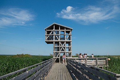 L'Observatoire Tadashi Kawamata, œuvre du Parcours Estuaire NantesSaint-Nazaire, Lavau-sur-Loire