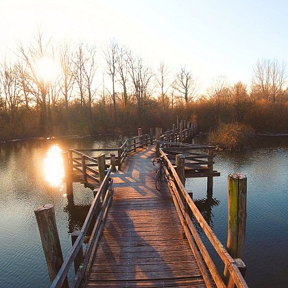 La passerelle Marc Desmazières