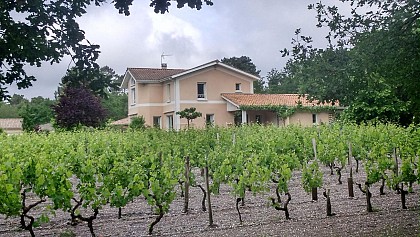 Le Nid dans la vigne