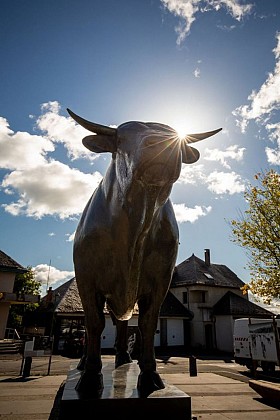Le taureau de Laguiole