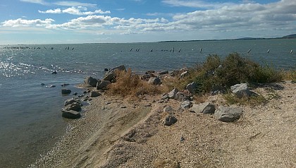 La plage des salines