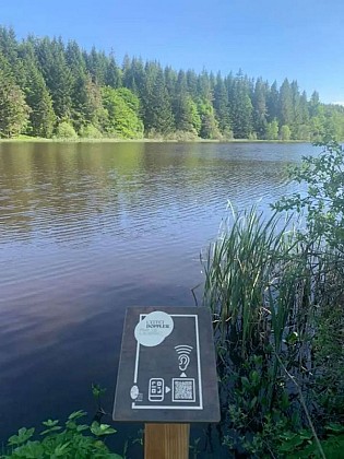 Effet Doppler installation sonore, Etang de la Baume (QR Code)