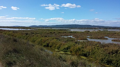 Le canal des salins de Villeneuve