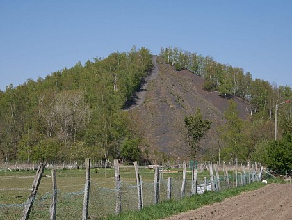 Terril d'Ostricourt n°108