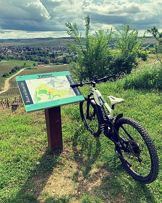 Location de VTT à assistance électrique - À la découverte du vignoble Chablisien avec Marc Colin