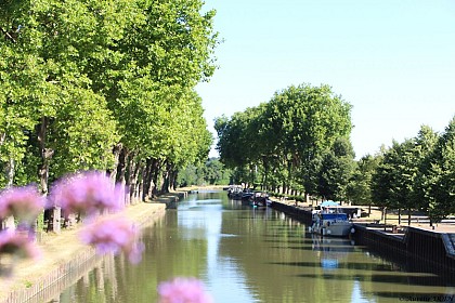 Aire de services de Rogny-les-Sept-Écluses