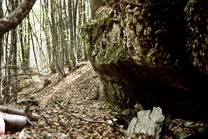 La grotte de Bury
