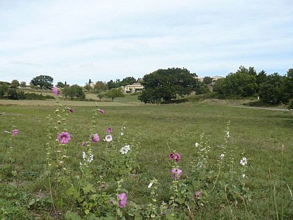 The ditch of Murs