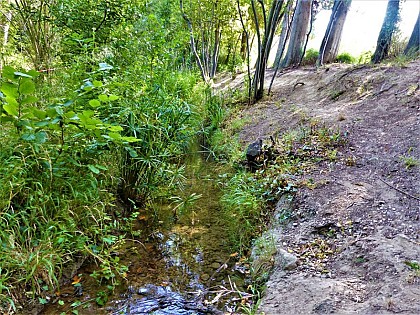 Gaudre du Trible