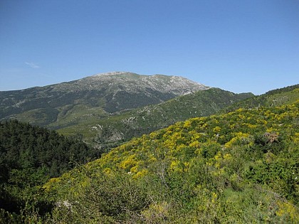 View on the Teillon