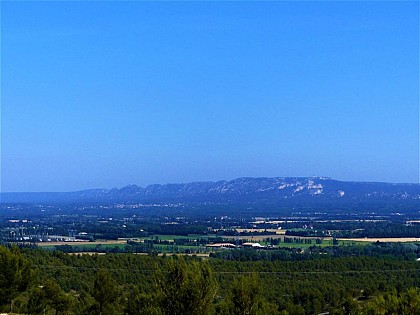 View on the Alpilles