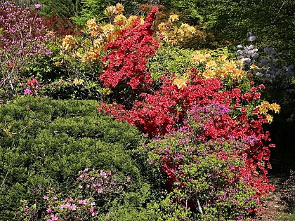 JARDIN BOTANIQUE DE GONDREMER