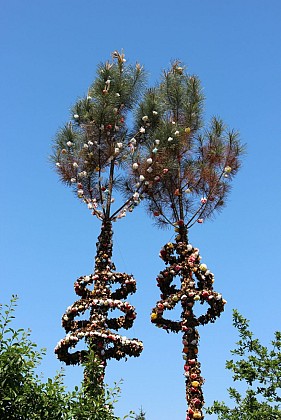 La tradition des arbres de mai
