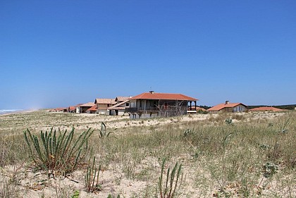 The creation of the littoral dune