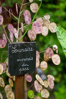 Le Jardin de Curé