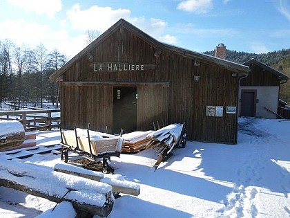 LA HALLIERE : SAWMILL