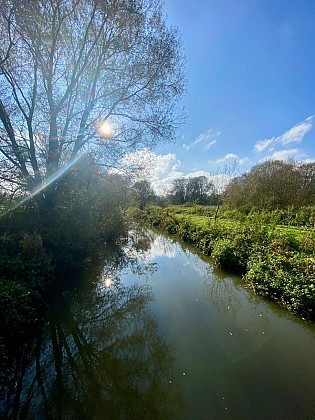 La Marque