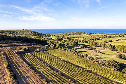 Rallye des vignes