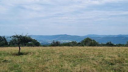 Vignoble du Revermont