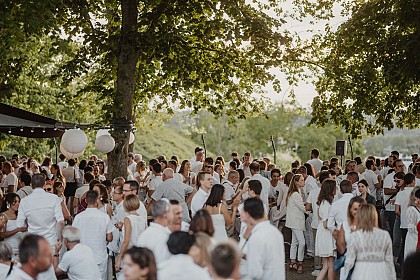 Festivini – La Nuit de la Bulle