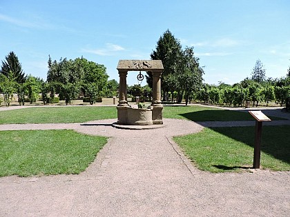 The garden of the St Cyriaque cloister
