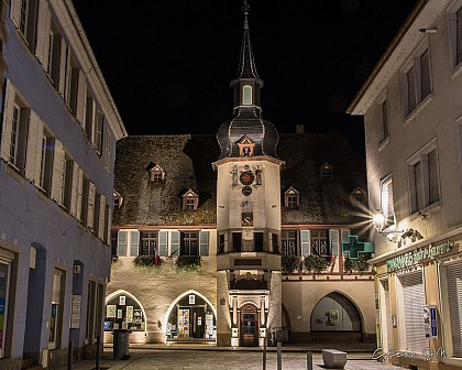 Town Hall-Laube