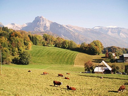 Visit of the village of Mathonex and its chapel