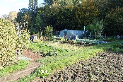 Les jardins partagés du Marichon