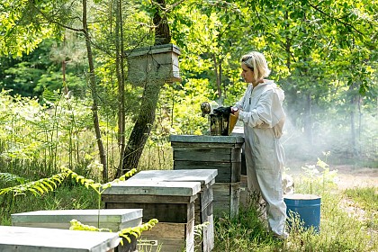 Initiation à l'apiculture – Miels Girard