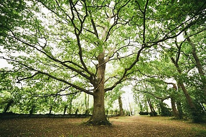 Le parc du Château