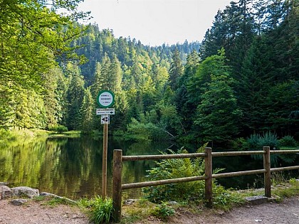 POND ÉTANG DE SÈCHEMER