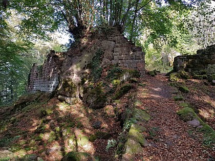 Ruins Castle Ringelstein