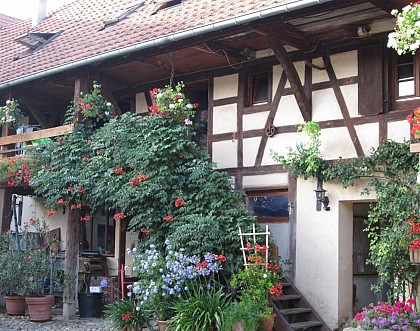 Furnished accomodation Mrs Marie-Odile KIEFFER (3)