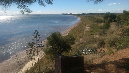 Au milieu de la pinède sur les hauteurs rocheux, une vue prodigieuse sur tout le bassin de Thau