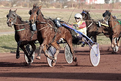 Visite Au cœur des courses hippiques