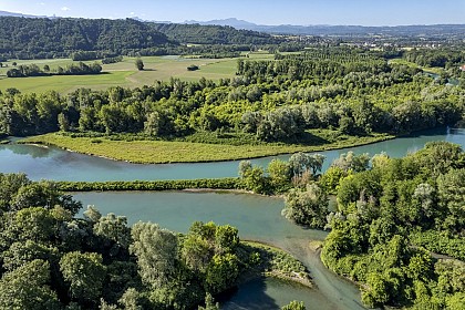 Réserve Naturelle Nationale du Haut Rhône Français