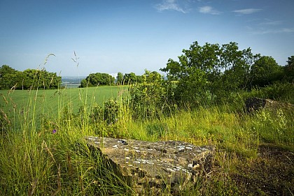 Plateau de Larina Sensitive Natural Area