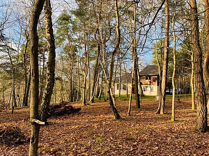 Gîte de la forêt