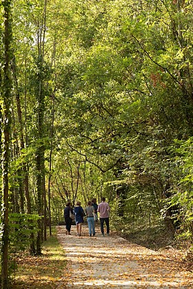 Le parc Ausone