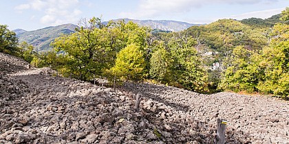 Clapas basaltique du volcan de Crau